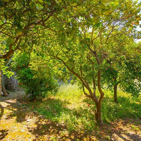 Rivierarent Casa Francesca