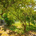 Rivierarent Casa Francesca